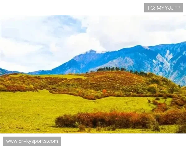 大型熊猫徒步游，亲近自然的环保运动，熊猫徒步西藏